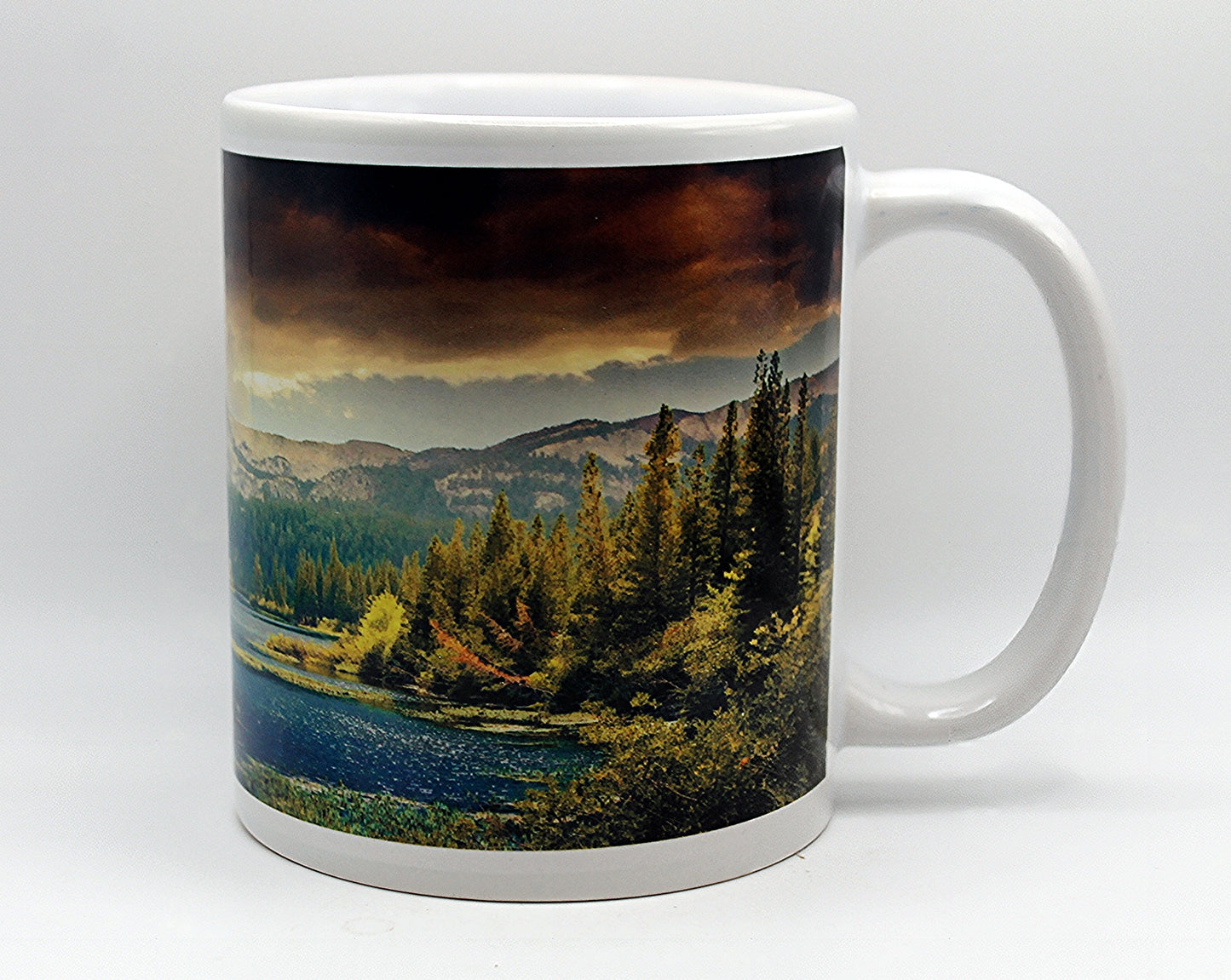 Forest View