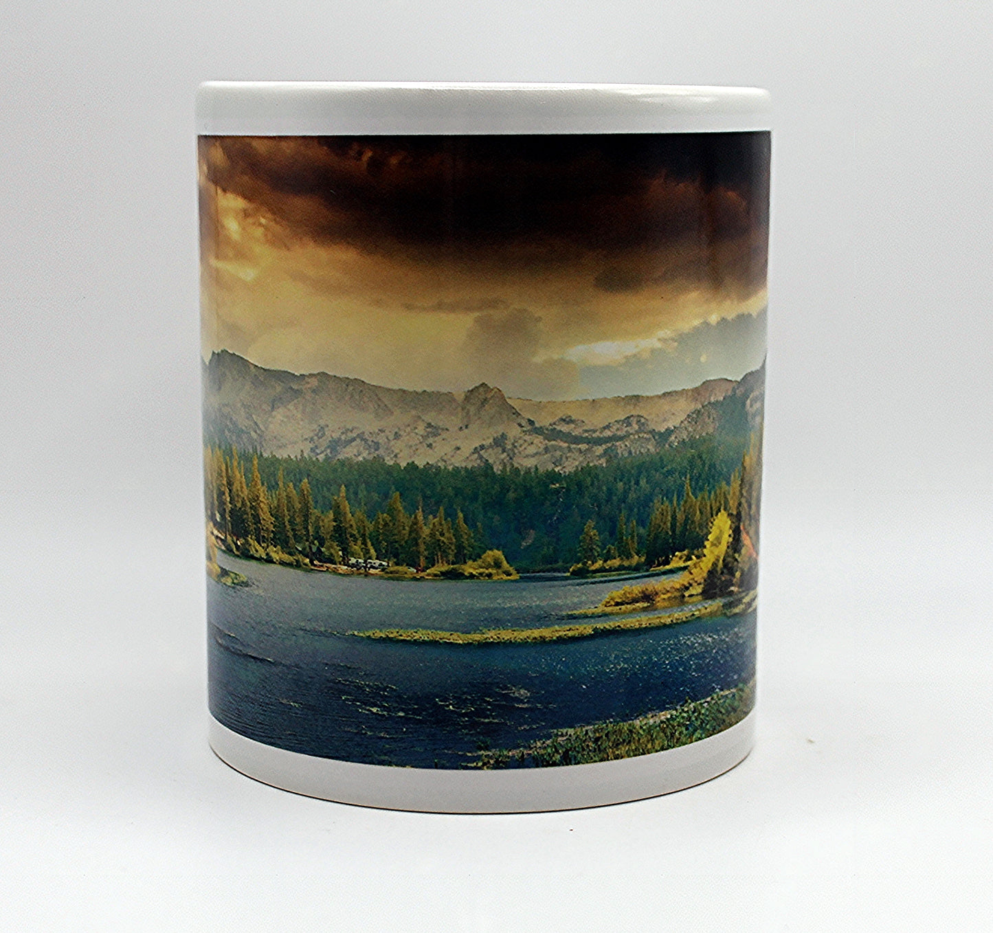 Forest View