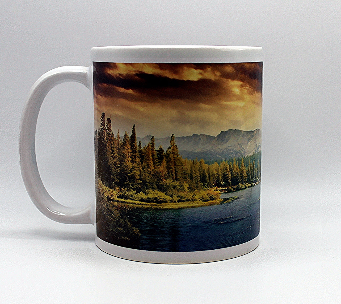 Forest View
