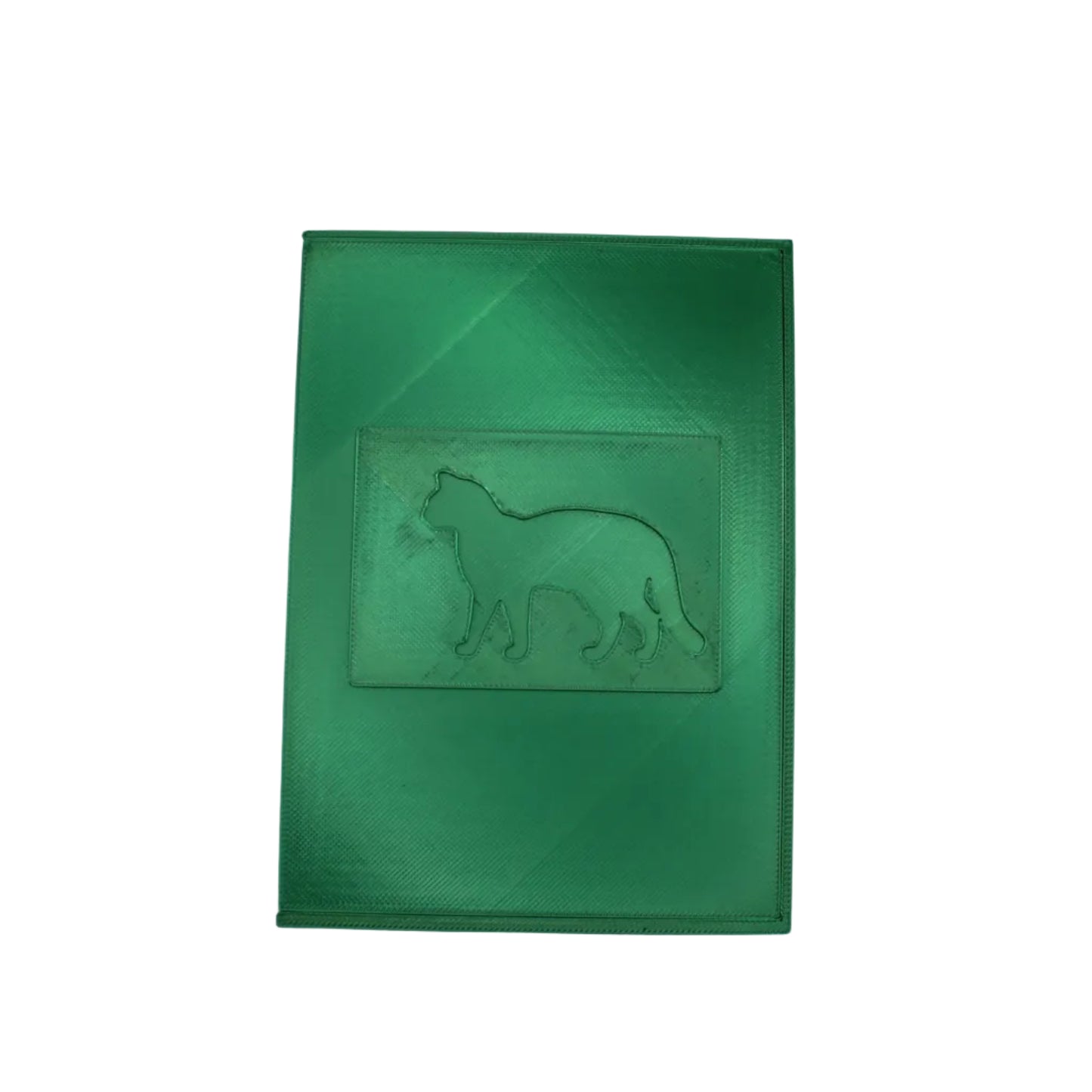 2 Pack Green Card Holder