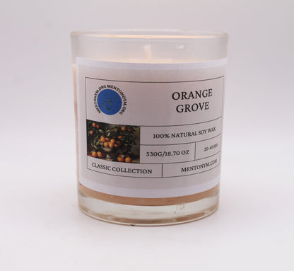 Orange Grove