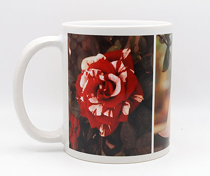 Pink Bell Flower, Barberton Daisy, Hybrid Tea Rose