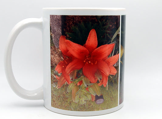 Dahlia Pinnata, Desert Rose, Cytanthus Elatus Coffee Mug