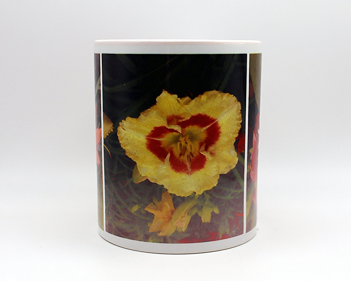 Dahlia Pinnata, Desert Rose, Cytanthus Elatus Coffee Mug