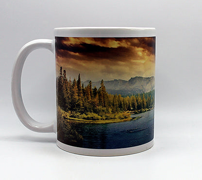 Forest View