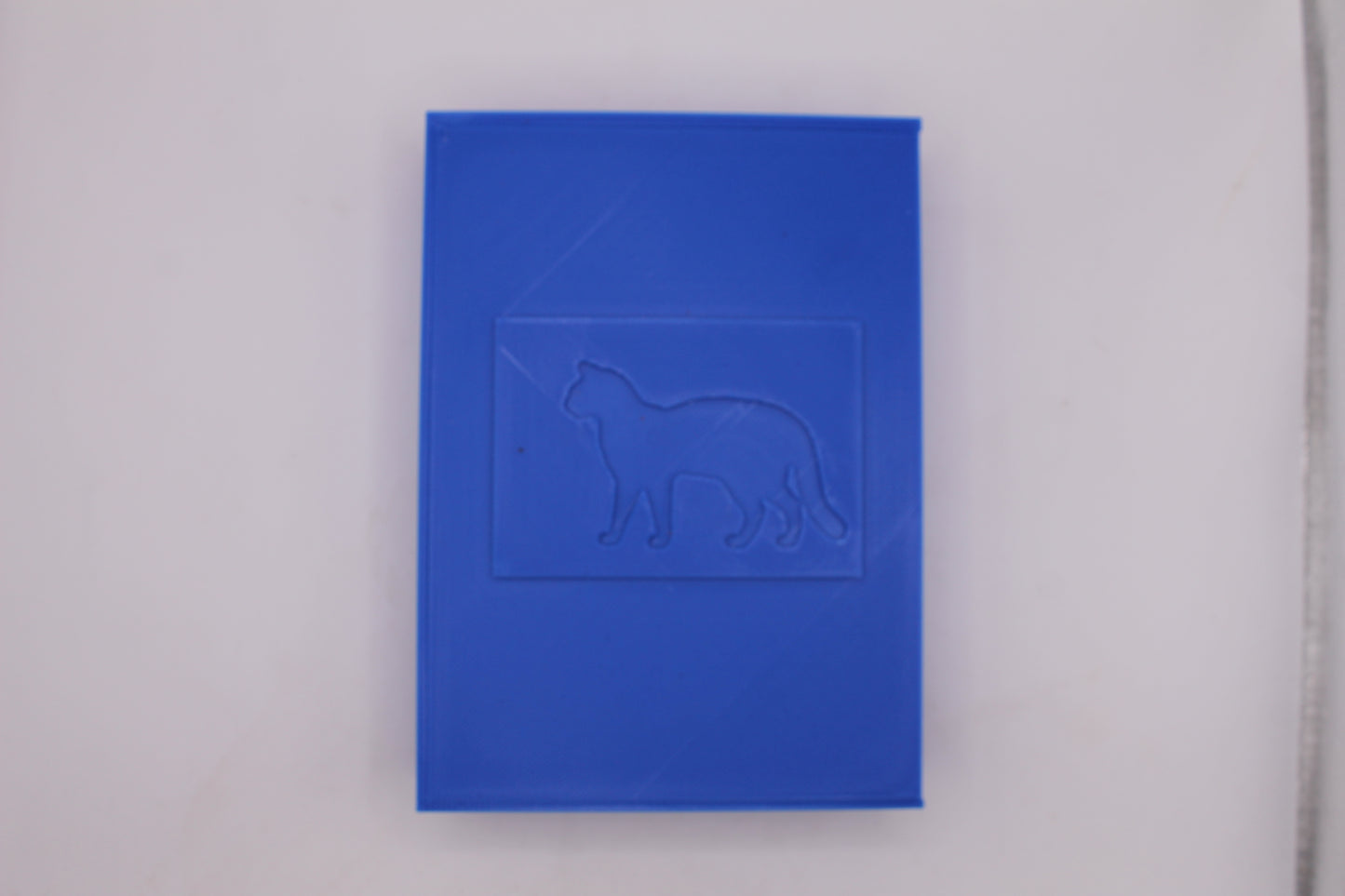 2 pack Cards with Blue Holder