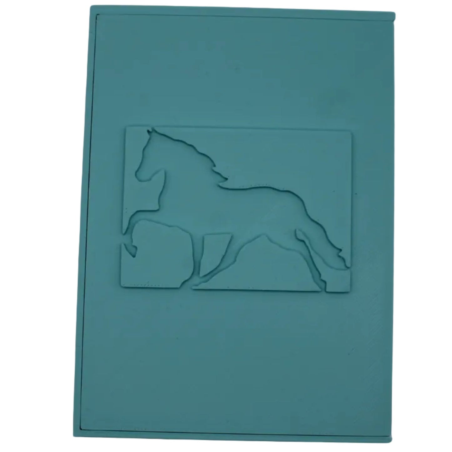 2 Pack Card Teal Card Holder