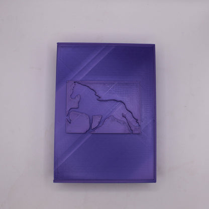 2 Pack Card Purple Card Holder