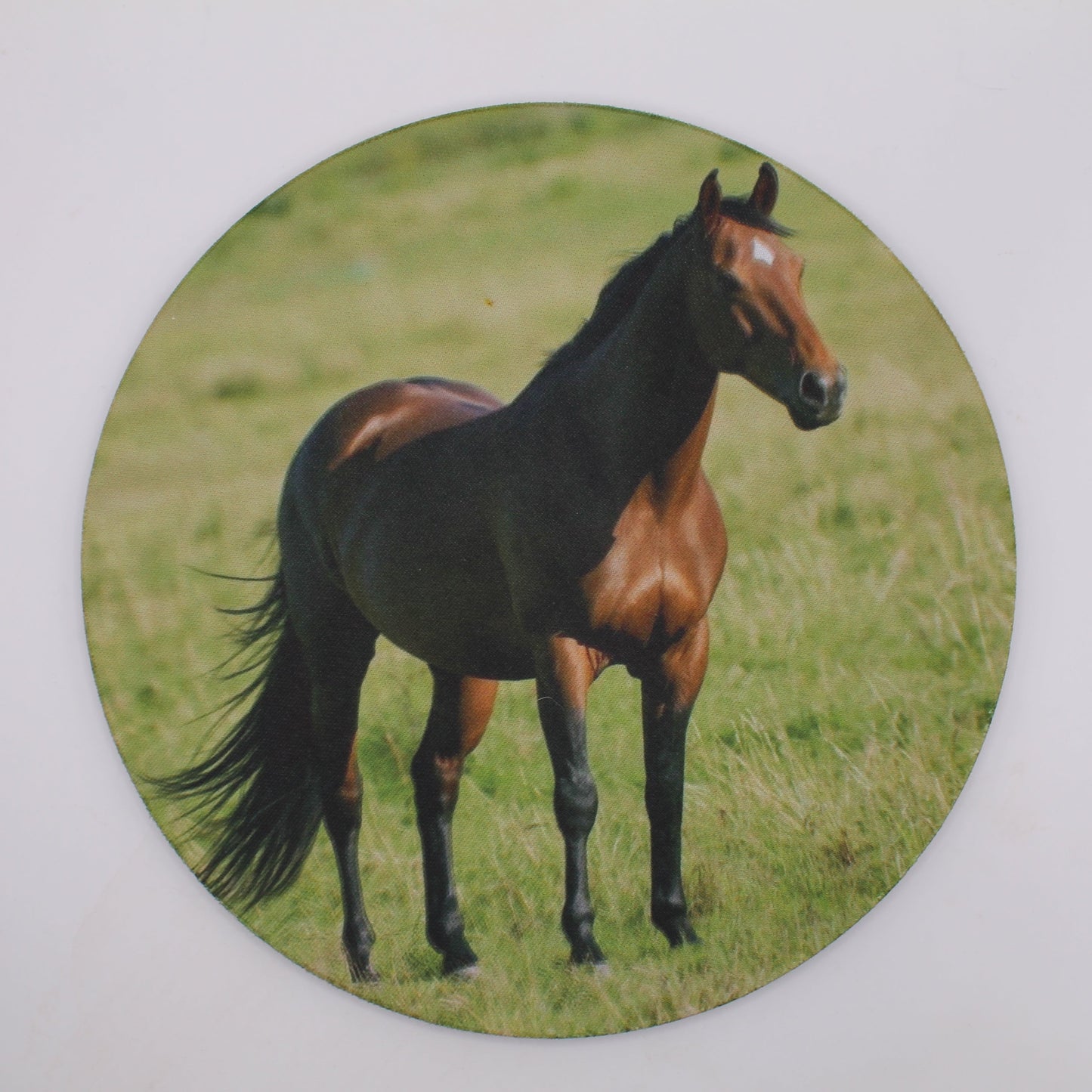 Quater horse Mouse Pad