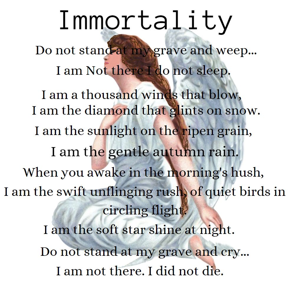 Immortality Plate