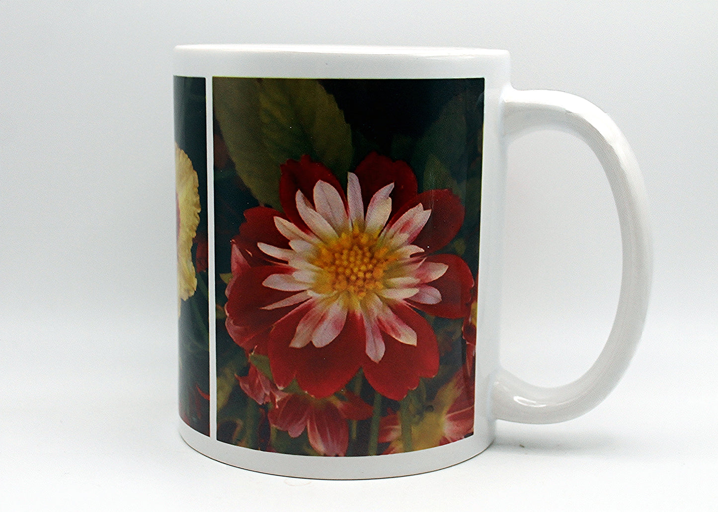 Dahlia Pinnata, Desert Rose, Cytanthus Elatus Coffee Mug